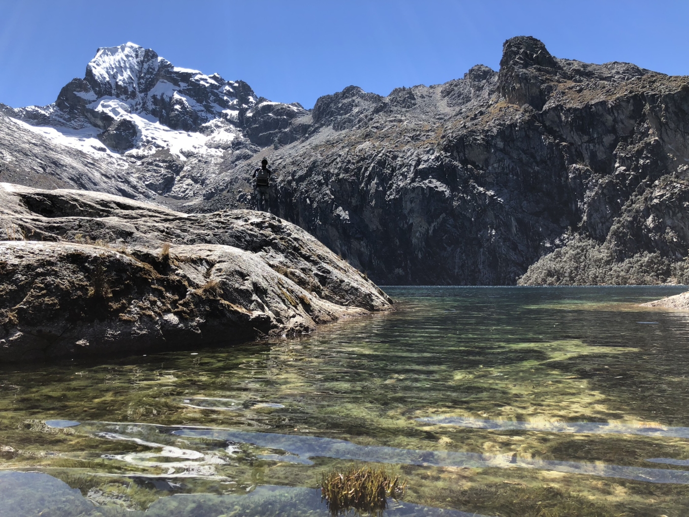 Questo genitore ha lasciato i pannolini sporchi sulle rocce lungo